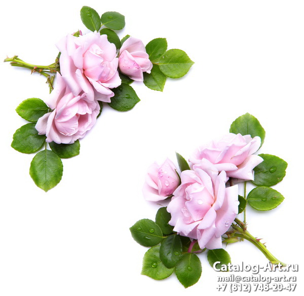 Pink roses 55